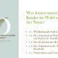 Vorschau 3
